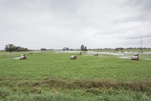 Tereny w gminie Baranw przeznaczone pod Centralny Port Komunikacyjny, na ktrych rozlewaj si Pisia Tuczna i Pisia Ggolina