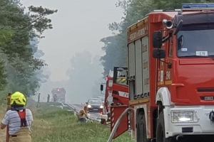 Poar lasu w Cielimowie koo Gniezna. Droga krajowa nr 15 zamknita