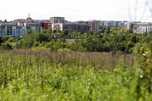 Nie ustaje spr wok grek czechowskich. Niedawno deweloper, firma TBV, kupi ten teren i chce budowa na nim bloki. Miasto jest skonne zmieni plan zagospodarowania przestrzennego, tak by ten dopuszcza zabudow mieszkaln. To jednak nie podoba si znacznej czci mieszkacw Lublina. Najmocniej o zachowanie zielonych puc Lublina walcz ci z Czechowa, bo to w ich dzielnicy ley ten teren. Niedawno okazao si te, e na grkach s masowe mogiy, bo podczas II wojny wiatowej Niemcy dokonywali tu masowych egzekucji.
Na grkach czechowskich yje wiele rzadko spotykanych gatunkw rolin i zwierzt. Dodatkowo ten teren jest uwaany za cz klina napowietrzajcego miasto. Dlatego obrocy grek zawizali stowarzyszenie majce nie dopuci do zabudowy. Obrocy chcieliby, aby powsta tu pnaturalny park ze ciekami pieszymi czy rowerowymi. Uwaaj, e kada budowa blokw na tym terenie doprowadzi to degradacji grek.
Nasz fotograf na zdjciach uwieczni to, jak dzi wygldaj grki czechowskie. To w zdecydowanej wikszoci niezabudowany teren, zaronity dziko rosncymi trawami, drzewami czy krzewami. Z rzadka mona na nim spotka spacerowiczw czy rowerzystw.