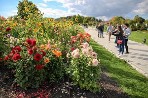 Kielce, 29 wrzenia 2019 roku. Ogrd botaniczny