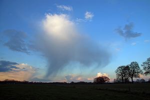 Virga