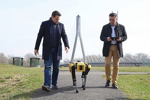 Czworonony robot Spot na spacerze z prezydentem Warszawy Rafaem Trzaskowskim i dyrektorem Centrum Nauki Kopernik Robertem Firmhoferem