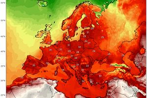 rednie temperatury maksymalne prognozowane na najblisze trzy dni