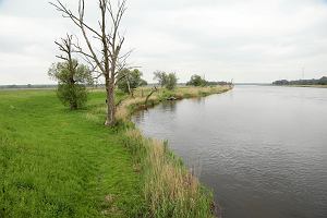 Odra w rejonie Widuchowej. Widok z niemieckiej strony granicy