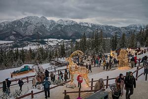 Gubawka, widok na Zakopane i Tatry