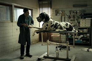 'Dogman', re. Matteo Garrone