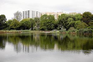 Park Szczliwicki i jeziorko Szczliwickie