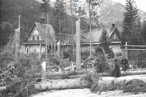 Siostry albertynki przechodz przez powalone drzewa. Zdjcie wykonane 7 maja 1968 roku.