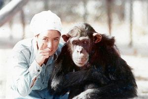 Janis Carter, Lucy, The Human Chimp