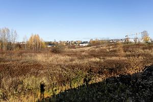 Tereny zielone przy ul. Zelwerowicza, miedzy stacj paliw Orlen i sklepem Lidl, na ktrych miasto chce dopuci zabudow jednorodzinn