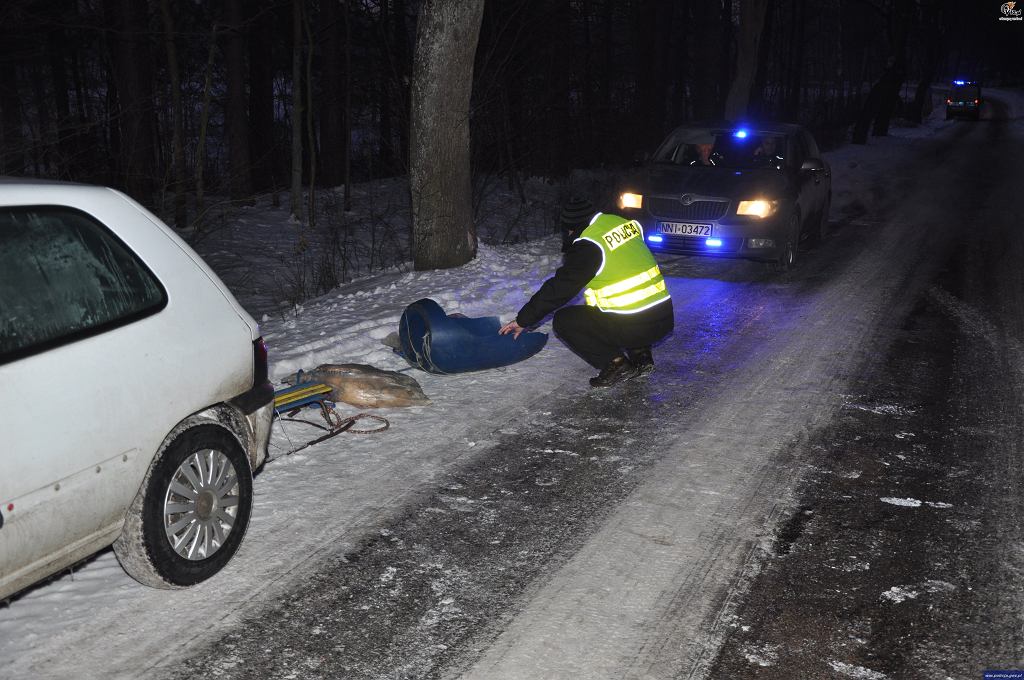 Kulig pod Elblgiem skoczy si na drzewie