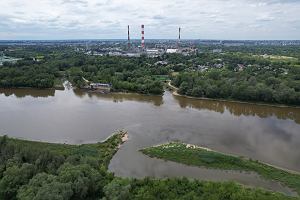 Wisa w okolicach elektrociepowni Siekierki. Na wysokoci widocznej u dou ostrogi dno rzeki ma by umocnione. Na drugim brzegu po lewej - ujcie wody dla elektrociepowni, a po prawej - ujcie rzeki Wilanwki. Czerwiec 2024 r.