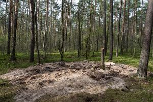 Wie Zamo pod Bydgoszcz. Miejsce, w ktrym w ktrym spada rosyjska rakieta Ch-55 (Kh-55)