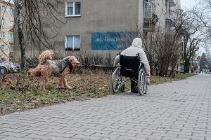 Jak zmienia si Polska w ostatnich latach w kategorii dostpnoci dla osb z niepenosprawnociami?