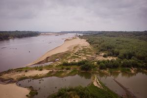 Plaa naturystw na warszawskich Zawadach.