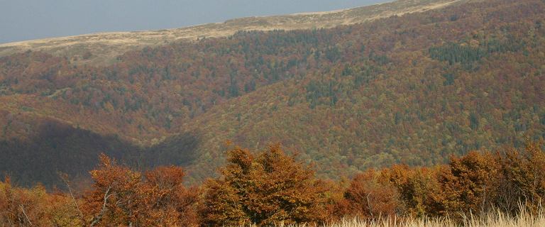 Bieszczady: atrakcje, jakich nie znajdziesz gdzie indziej. Co polecamy?