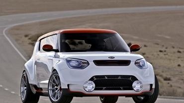 Kia Track'ster - buldog