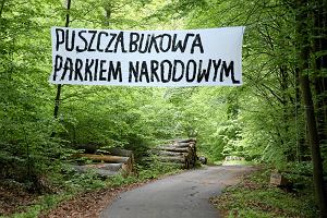 Protest przeciwko wycince Puszczy Bukowej kolo Szczecina