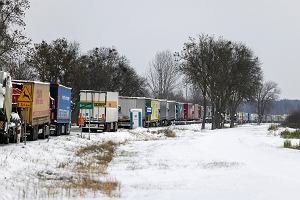 Kolejka ciarwek do przejcia granicznego w Dorohusku spowodowana przez protest polskich przewonikw, 29 listopada 2023 r.