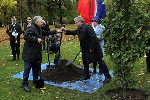 Bronisaw Komorowski, Hanna Gronkiewicz-Waltz i Aleksander Kwaniewski w Ogrodzie Saskim podczas uroczystoci posadzenia dbu z okazji 100-lecia niepodlegoci Polski 