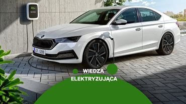 Hybryda typu plug-in, wiedza elektryzująca