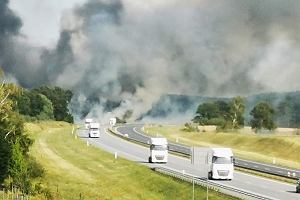 Poar przy autostradzie A2 w okolicach Torzymia w woj. lubuskim. lipiec 2022 r.