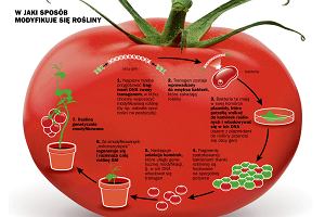 rdo: biotechnolog.pl