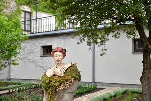 Mini ogrd botaniczny na dziedzicu Muzeum im. Jacka Malczewskiego w Radomiu otwarty