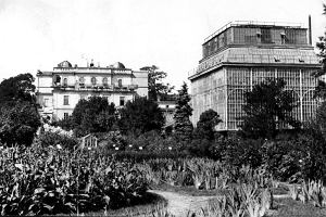 Ogrd Botaniczny, zdjcie archiwalne