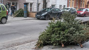 Gdzie wyrzuci choink po witach? Sprawa nie jest prosta. Bd moe ci kosztowa 500 zotych