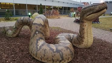 Posg Titanoboa