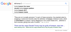 Result for "did trump commit treason"