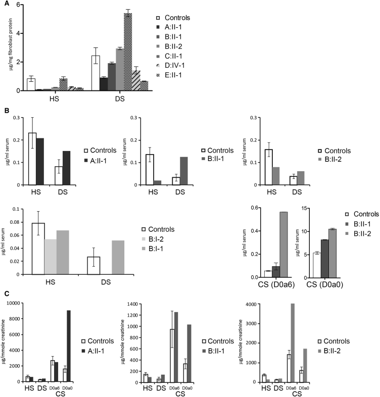 Figure 6