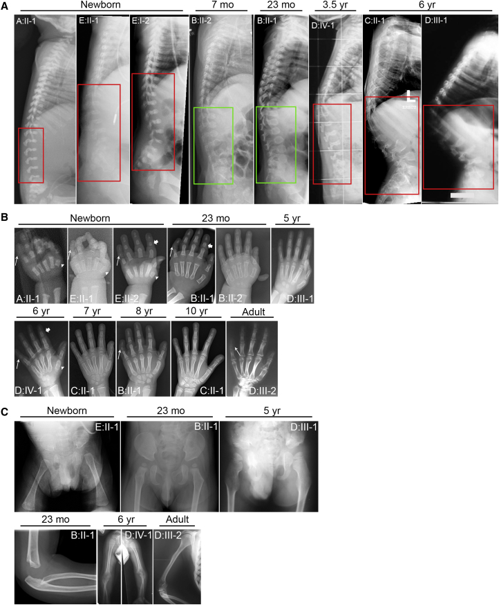 Figure 1