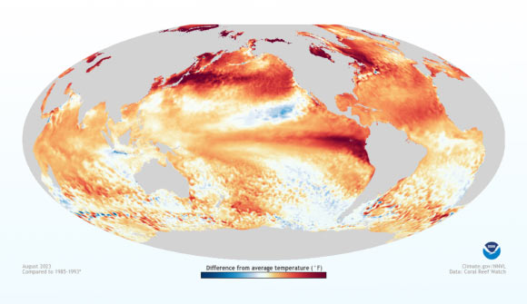 The El Niño-Southern Oscillation, originating in the central and eastern equatorial Pacific, is a defining mode of interannual climate variability with profound impact on global climate and ecosystems. Image credit: Li et al., doi: 10.1073/pnas.2404758121.