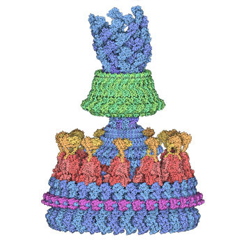 RCSB PDB Molecule of the Month