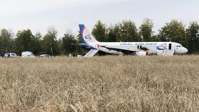 Самолет авиакомпании Уральские авиалинии, совершивший аварийную посадку на грунт в Новосибирской области