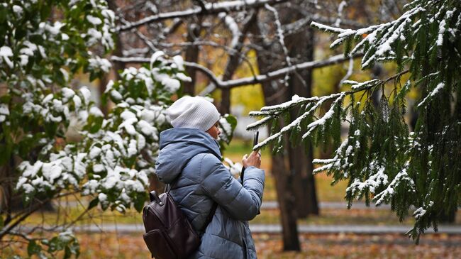 Первый снег в Новосибирске