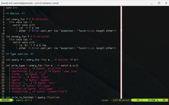 VIM window in Terminal app