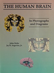 Cover of: The human brain: in photographs and diagrams