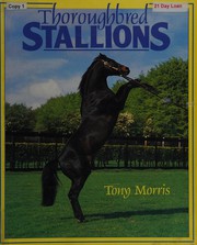 Thoroughbred stallions by Tony Morris