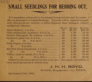 Small seedlings for bedding out by J.H.H. Boyd (Firm)