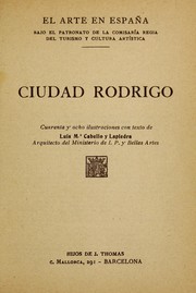 Ciudad Rodrigo by Luis María Cabello y Lapiedra