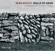 Sean Scully by Sean Scully, Donald Kuspit, Maris Lluisa Borras, Danilo Eccher, Lorand Hegyi, Francisco Jarauta, Maria Muller, Armin Zweite, Bernd Kluser, Armin Zwelte