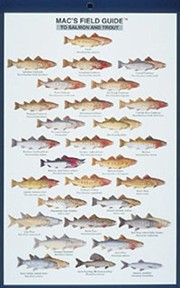 Cover of: Mac's Field Guide to Salmon and Trout (Mac's Guides)