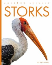 Cover of: Storks