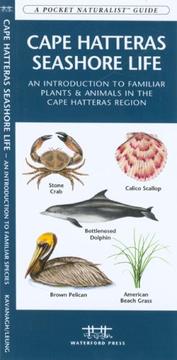 Cover of: Cape Hatteras Seashore Life: An Introduction to Familiar Plants and Animals in the Cape Hatteras, NC region (Pocket Naturalist - Waterford Press)