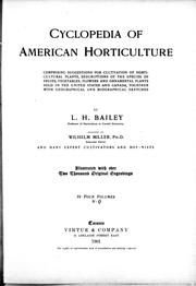 Cover of: Cyclopedia of American horticulture: comprising suggestions for cultivation of horticultural plants, descriptions of the species of fruits, vegetables, flowers and ornamental plants sold in the United States and Canada, together with geographical and biographical sketches