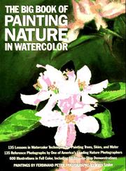 Cover of: The big book of painting nature in watercolor