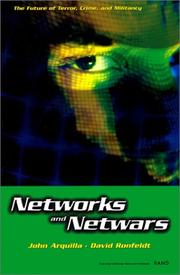 Cover of: Networks and Netwars: The Future of Terror, Crime, and Militancy